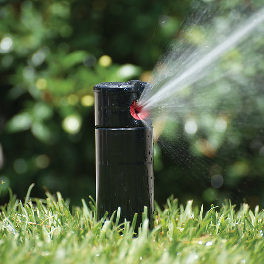 DOME RECLAIM SPRINKLER